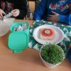 1e_wiosna