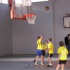 trio _basket_15