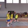 trio _basket_15