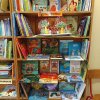 Biblioteka_o