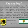 Niepodległa_18