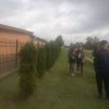 Rajd_ziemniak