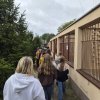 4a_schronisko_26