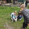 4a_schronisko_26